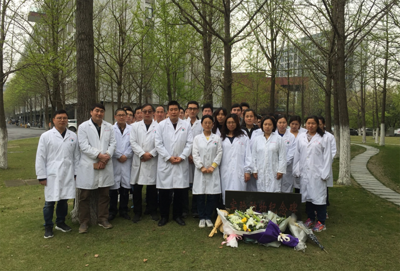 1554703187227595.jpg 未标题-3.jpg