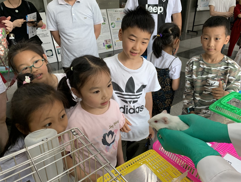 1559091135328246.jpg 未标题-2.jpg