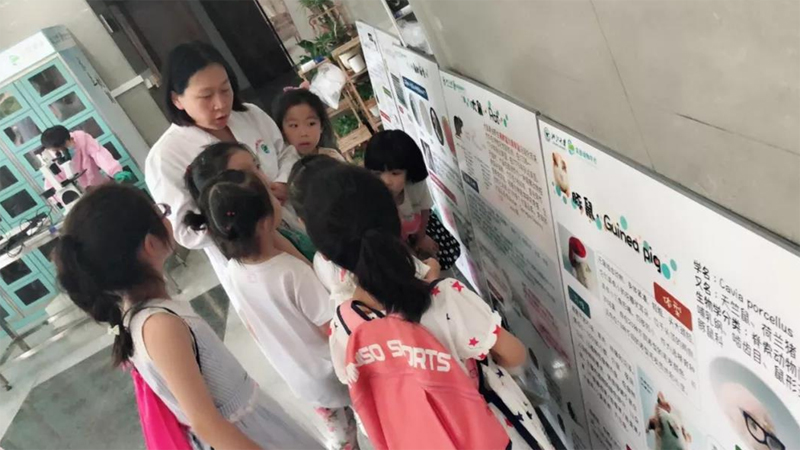 1559091123253887.jpg 未标题-1.jpg