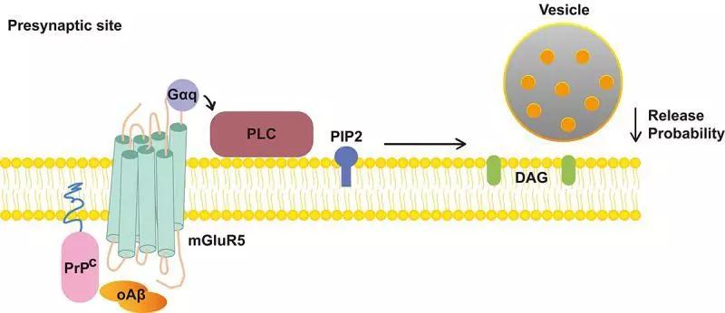 1552556745237664.jpg 微信图片_20190314173928.jpg
