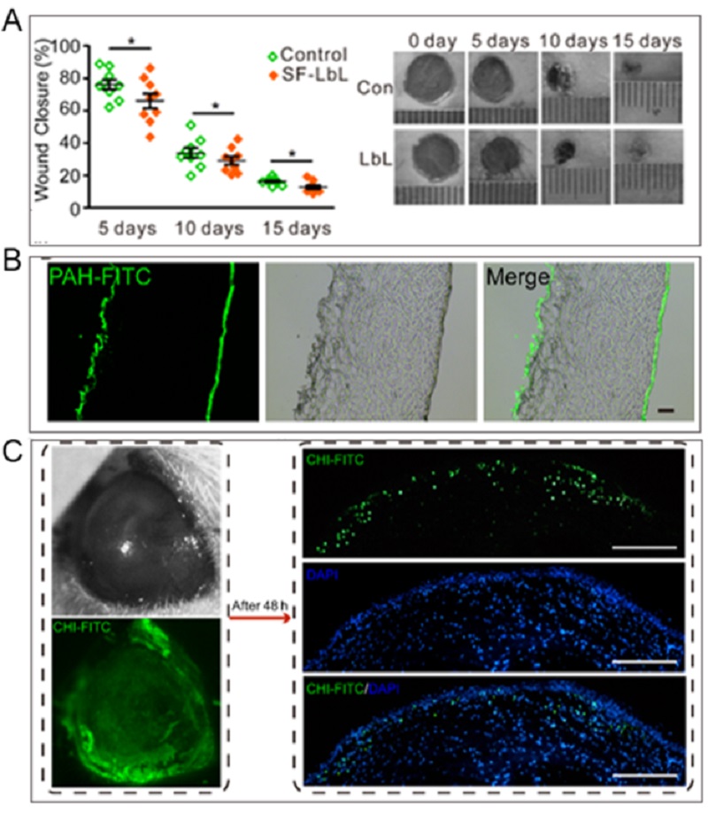 1550547517451016.jpg 无标题.jpg