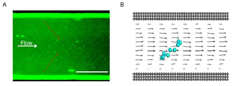 1550547326843552.jpg 无标题.jpg
