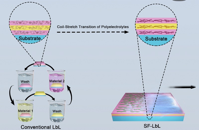 1550547276112829.jpg 无标题.jpg