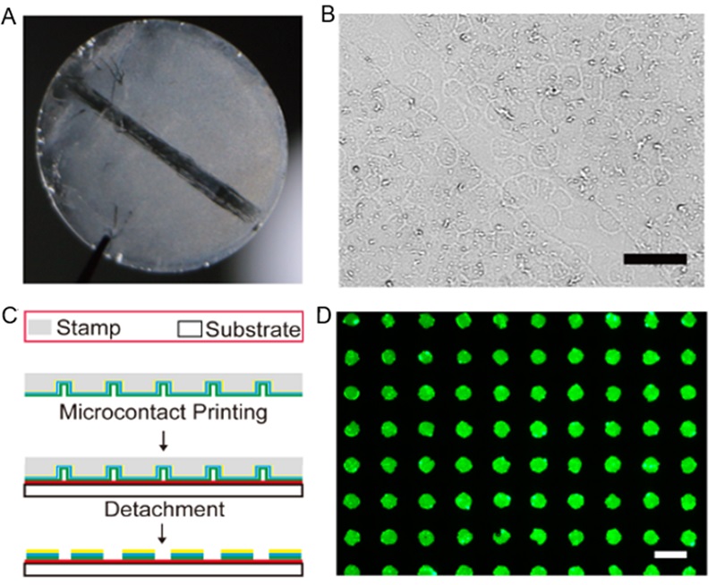 1550547405979016.jpg 无标题.jpg