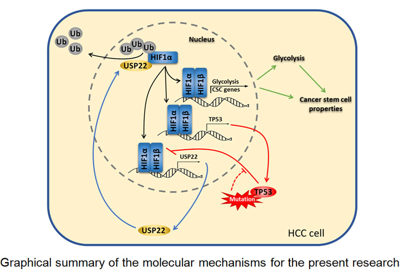 1575365692397785.jpg 未标题-1.jpg