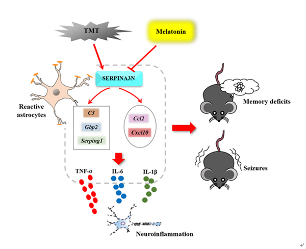 1566280714126836.jpg 未标题-1.jpg