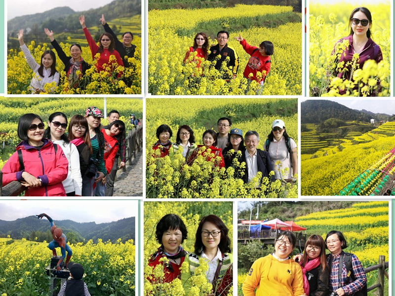 1554254204470724.jpg 2-(3).jpg