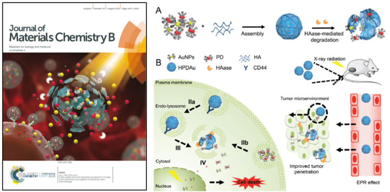 1564368724754734.jpg 未标题-4.jpg