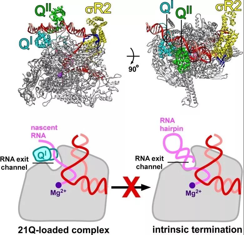 1562123936972346.jpg 微信图片_20190703111515.jpg