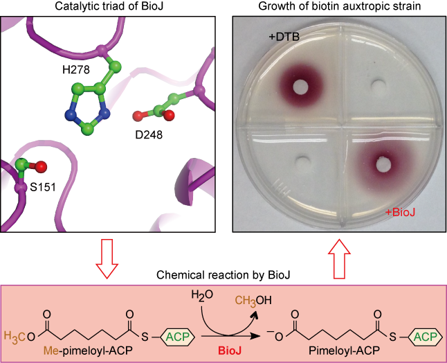 1567502013302943.png 20190902103747_68419.png