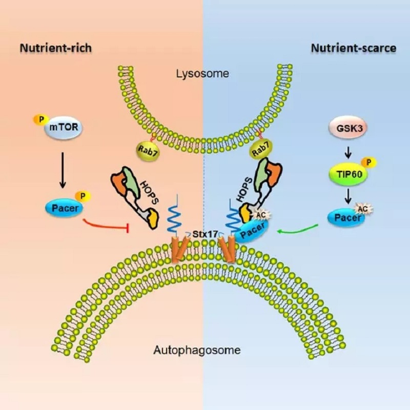 1548905230353204.jpg 640 (1).webp (1).jpg