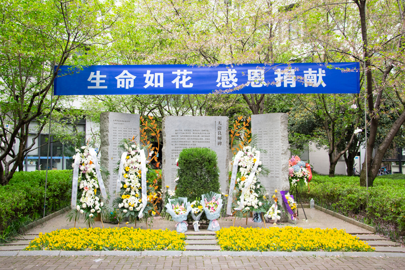 1554171227516811.jpg 25.jpg