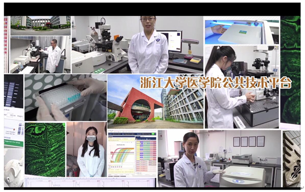 1551671432601498.jpg 未标题-2.jpg