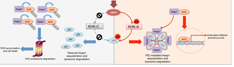 1556245004137804.jpg 微信图片_20190426101107.jpg