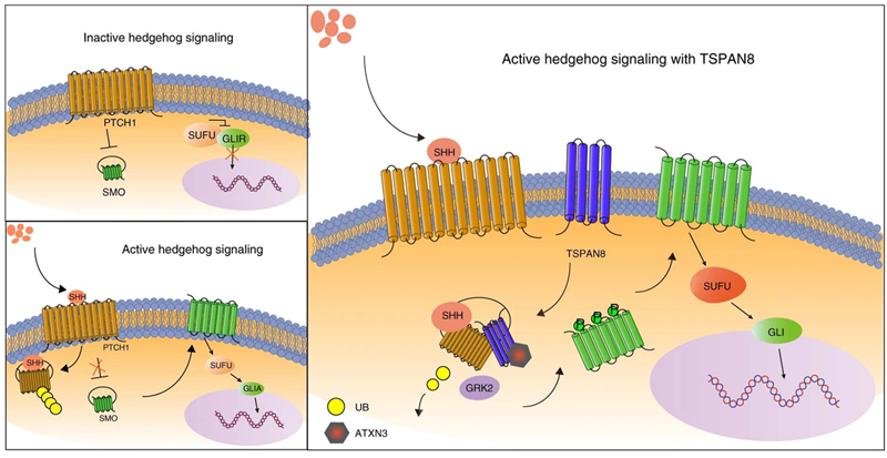 1564650579591385.jpg 未标题-1.jpg