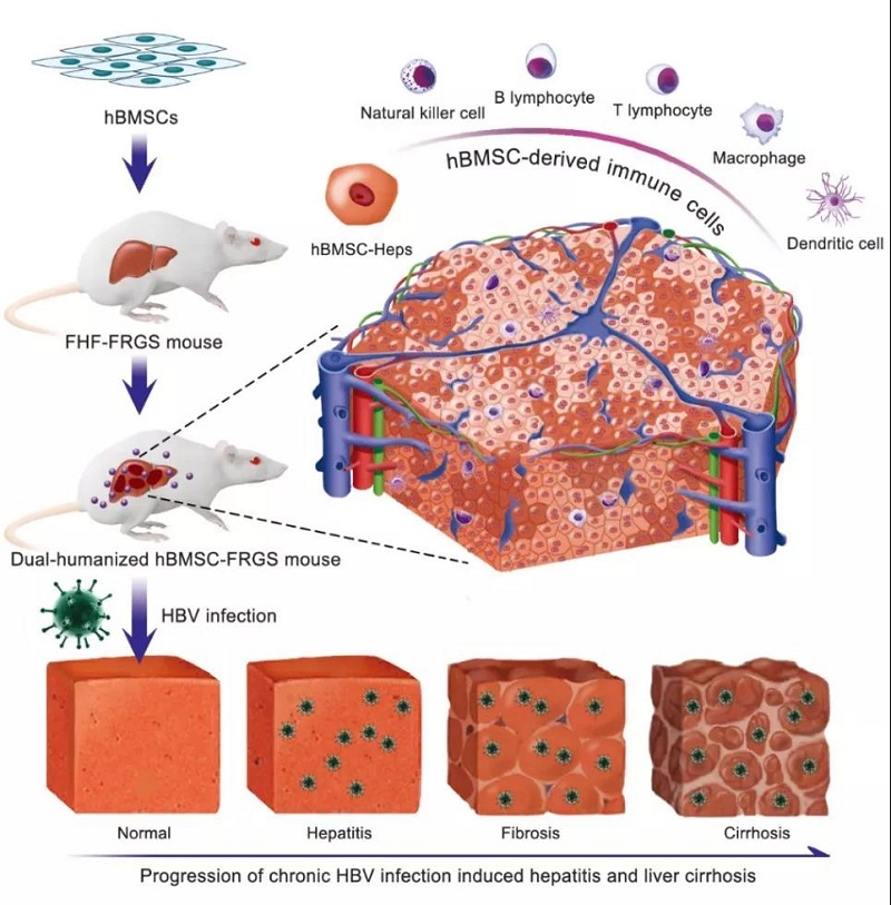 1550964372181852.jpg 微信图片_20190218192353.jpg