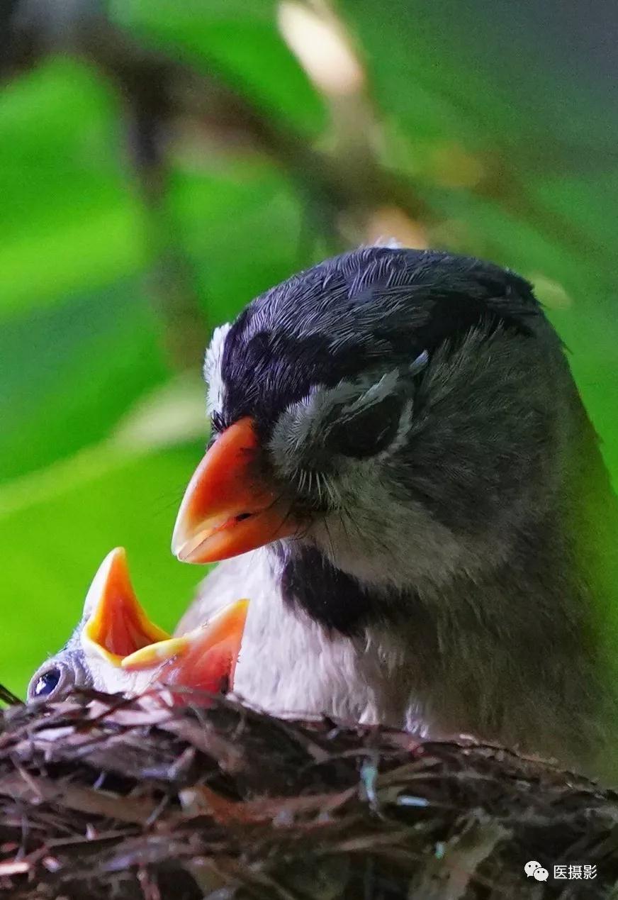 1544078747114937.jpg 1544078747114937.jpg