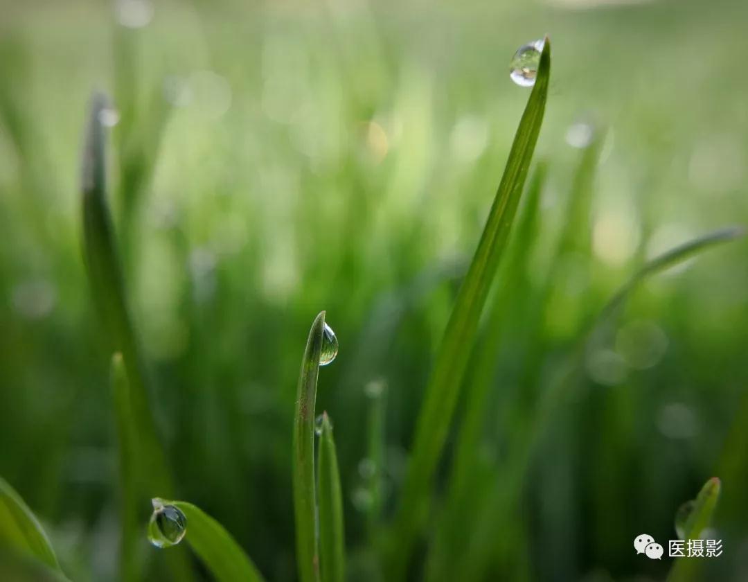 1544078991699094.jpg 1544078991699094.jpg