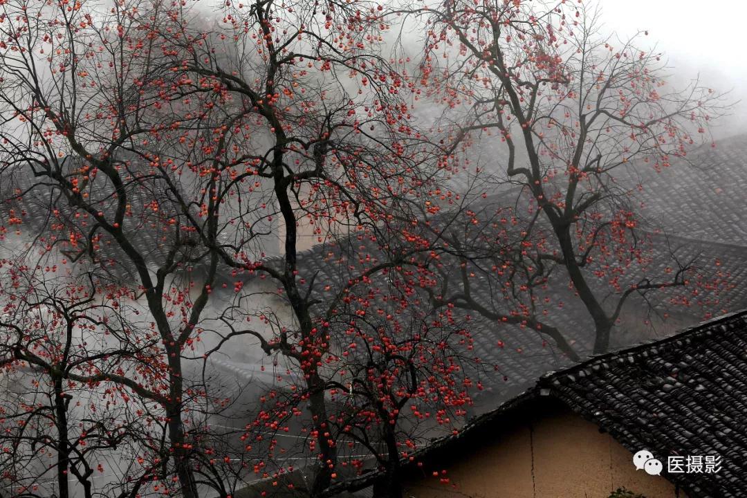 1544078539685065.jpg 1544078539685065.jpg