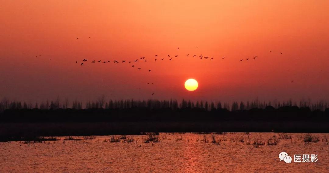 1544078706416633.jpg 1544078706416633.jpg