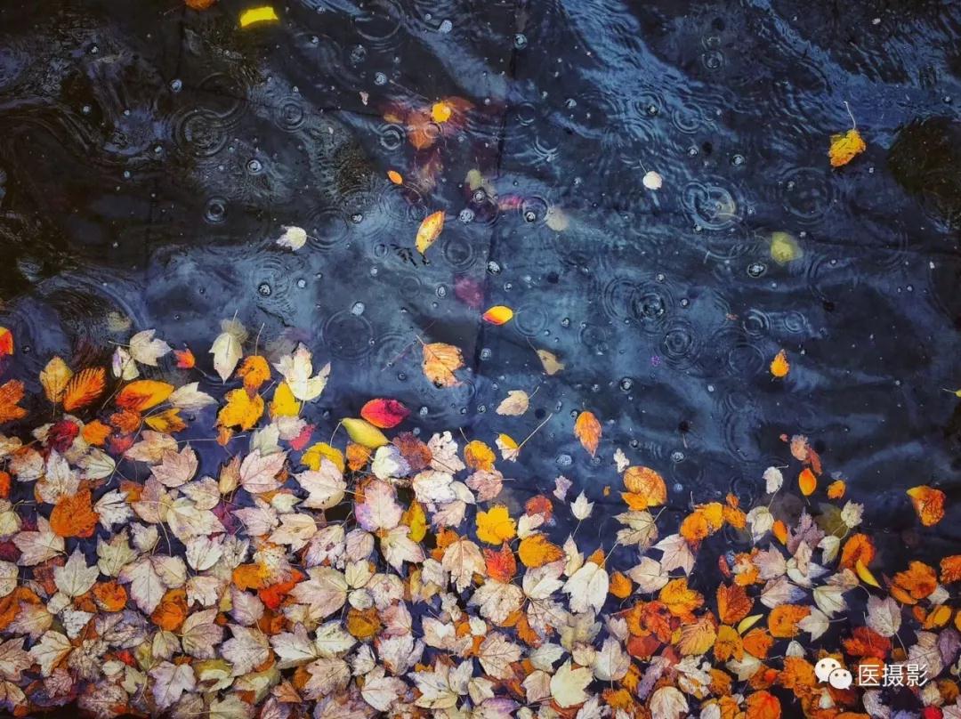 1544079034117704.jpg 1544079034117704.jpg