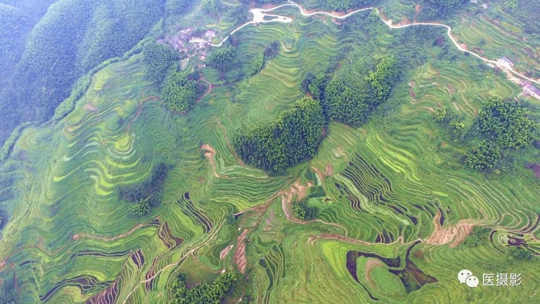 1544078660218816.jpg 1544078660218816.jpg