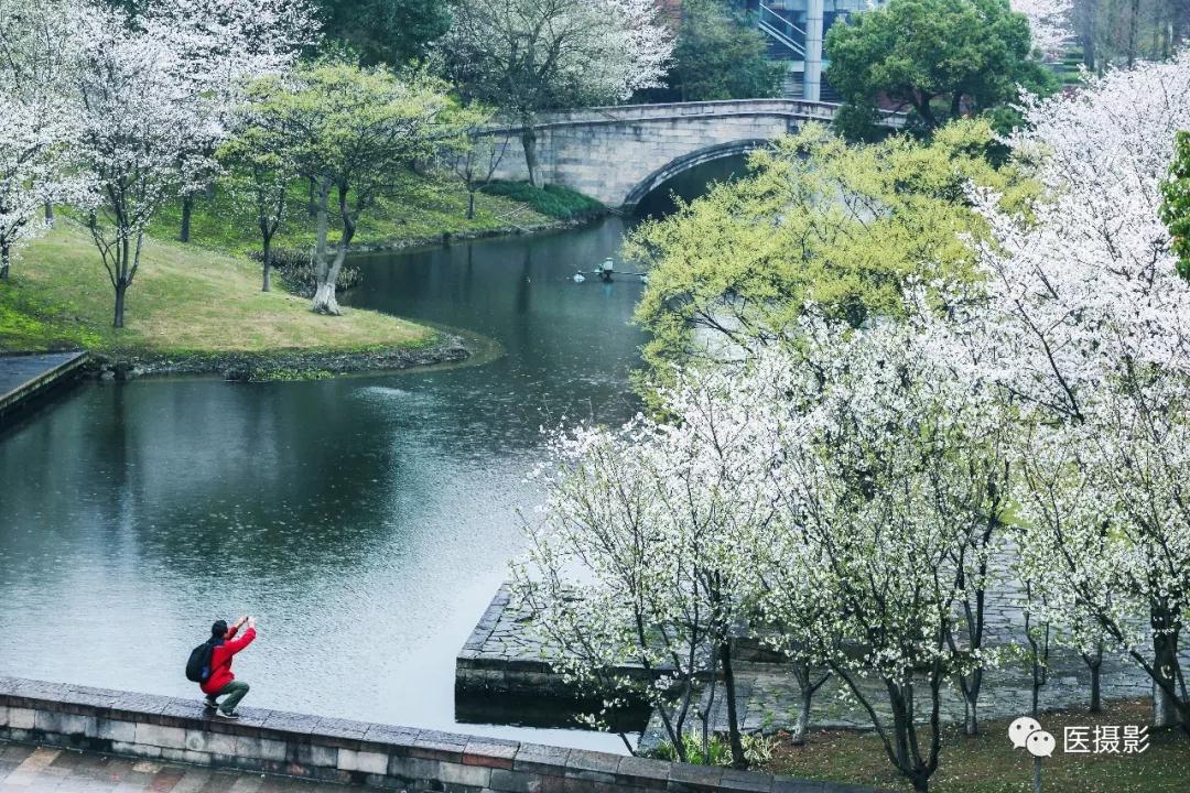 1544078197762480.jpg 1544078197762480.jpg