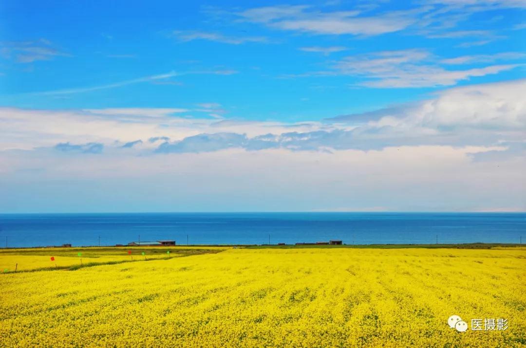 1544078726110505.jpg 1544078726110505.jpg