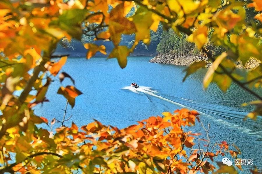 1544078683794495.jpg 1544078683794495.jpg