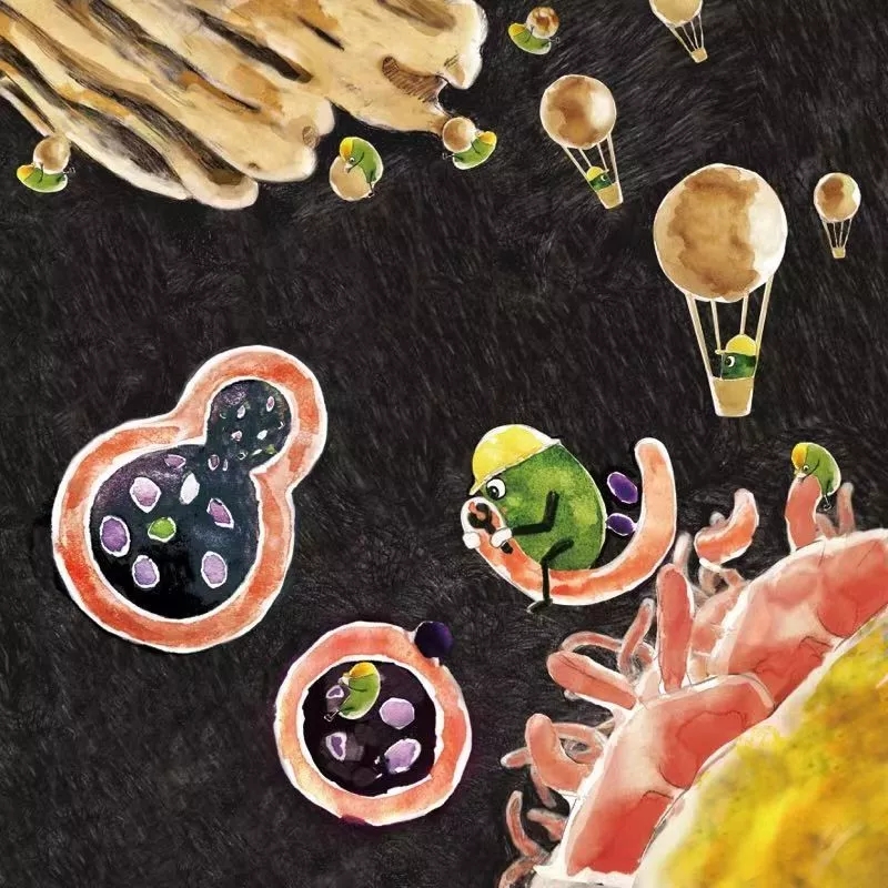 1555040743857623.jpg 640.webp.jpg