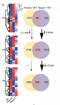 1563941616214556.jpg 640.webp.jpg