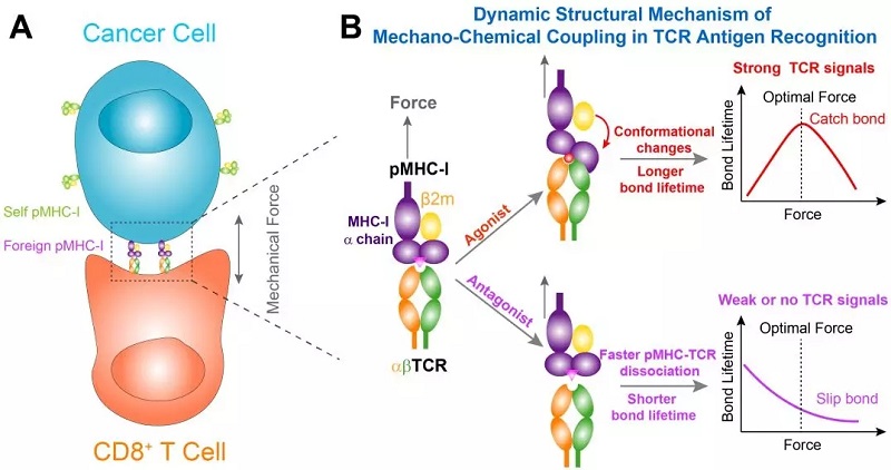 1548904107508893.jpg 640.webp (1).jpg
