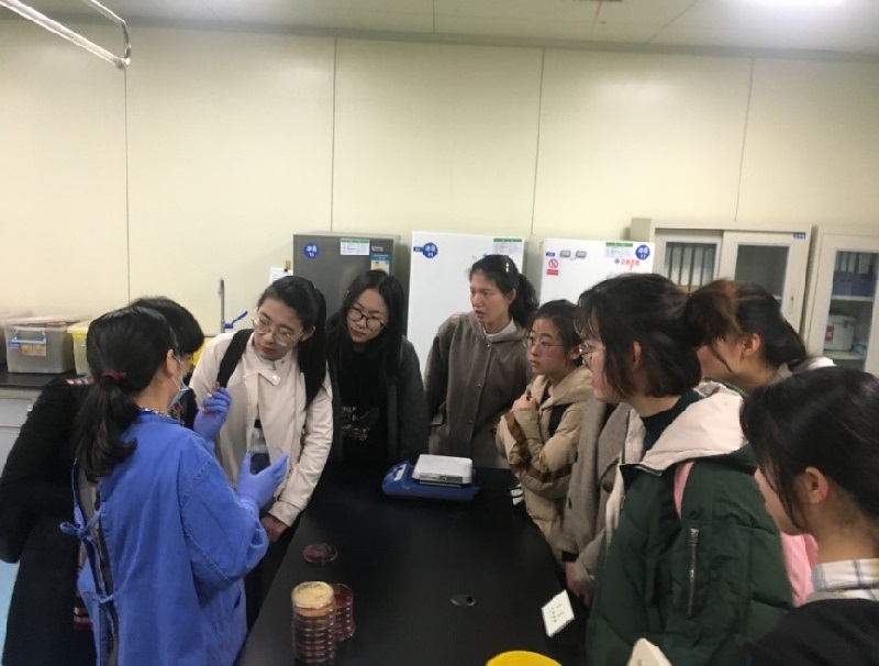 1553603517141961.jpg 5.2.jpg