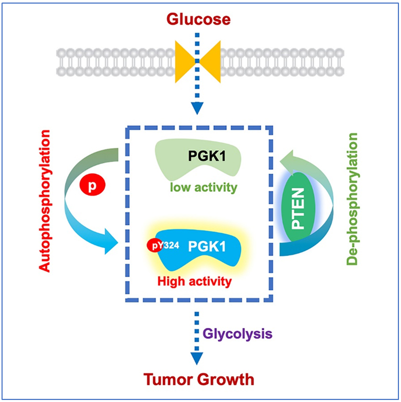 1567563140478513.jpg 未标题-1.jpg