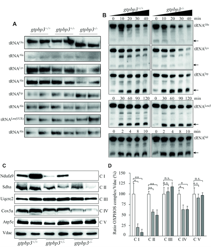 1553852765227810.jpg 未标题-1.jpg